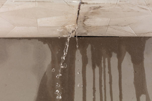 Professional Water Damage Repair technician working in Cleveland, WI
